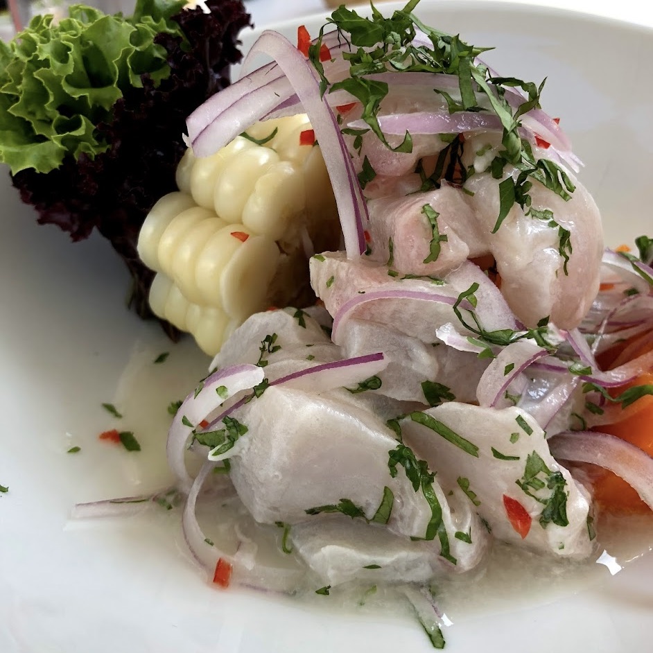 Plate of ceviche with red onion and corn