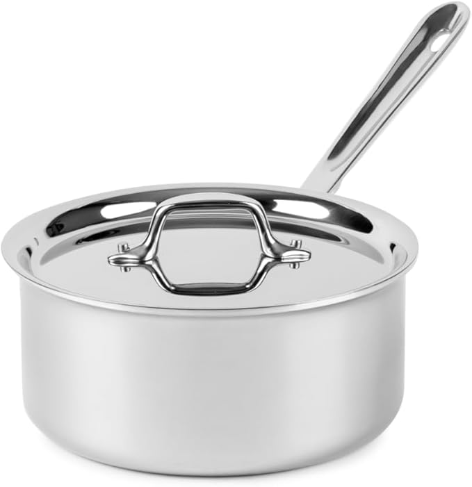 3 quart stainless steel pot with lid