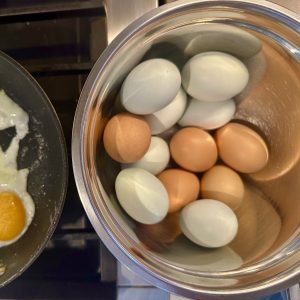 high protein eggs