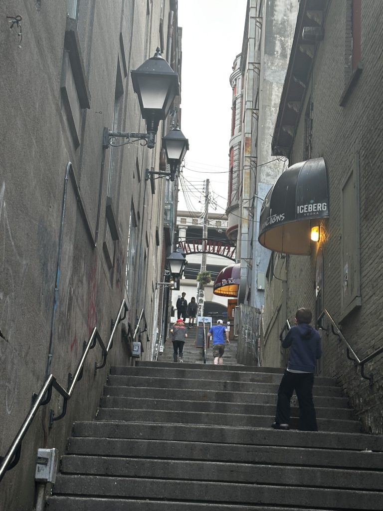 duke of duckworth back alley
