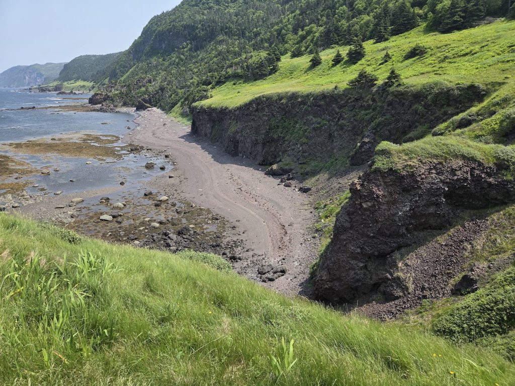 newfoundland