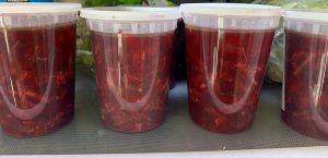 containers of borscht in a fridge for storage